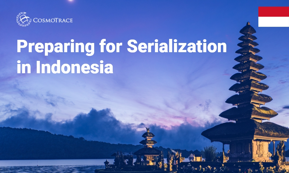 Understanding Indonesia Serialization Requirements